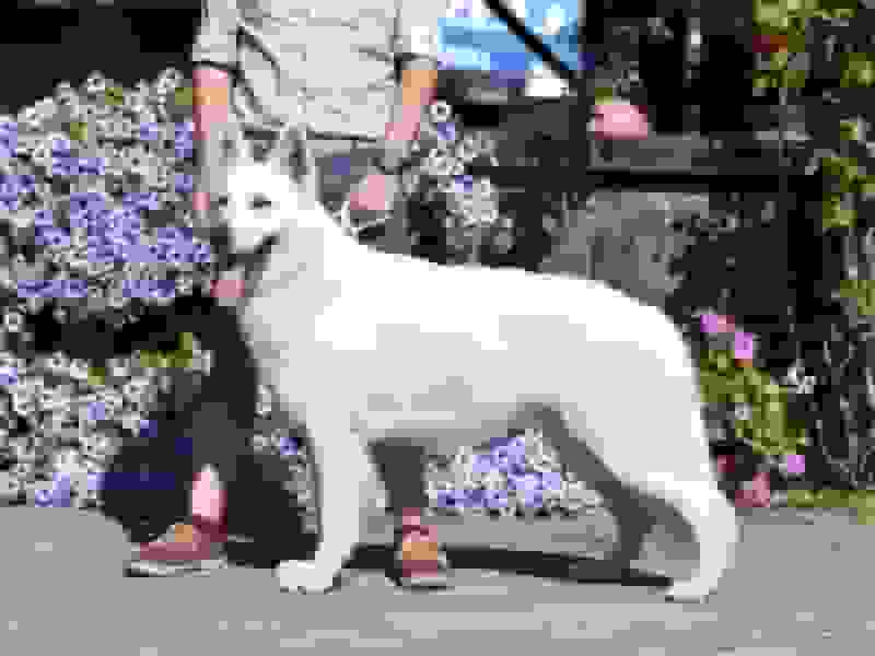 placeholder obrázek, nĂzká kvalita